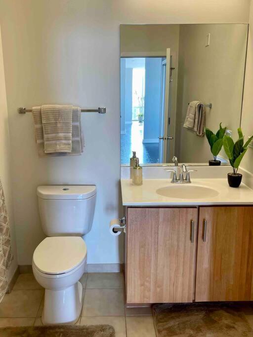 Penthouse In South Loop Chicago Apartment ภายนอก รูปภาพ