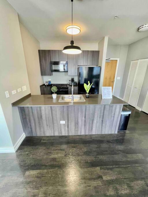 Penthouse In South Loop Chicago Apartment ภายนอก รูปภาพ