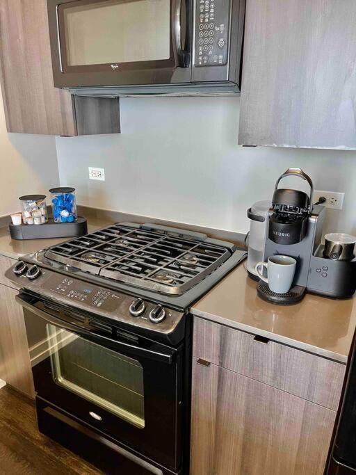 Penthouse In South Loop Chicago Apartment ภายนอก รูปภาพ